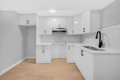 219 Falwood Way Ne, Calgary, AB - Indoor Photo Showing Kitchen With Double Sink
