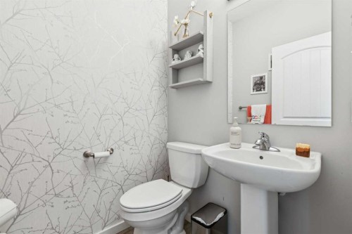 45 Legacy Court Se, Calgary, AB - Indoor Photo Showing Bathroom