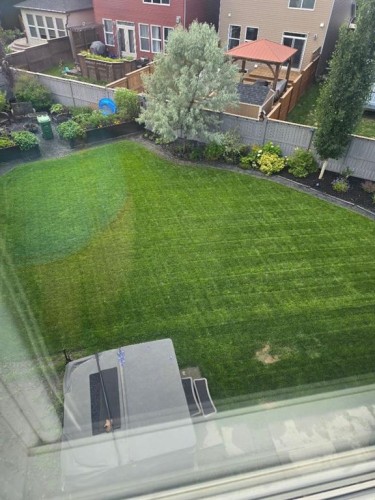 45 Legacy Court Se, Calgary, AB - Outdoor