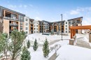 302-8355 19 Avenue Sw, Calgary, AB  - Outdoor With Balcony With Facade 