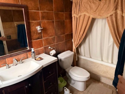 103 Templeson Way Ne, Calgary, AB - Indoor Photo Showing Bathroom