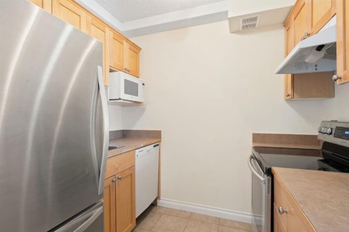 806-1334 12 Avenue Sw, Calgary, AB - Indoor Photo Showing Kitchen