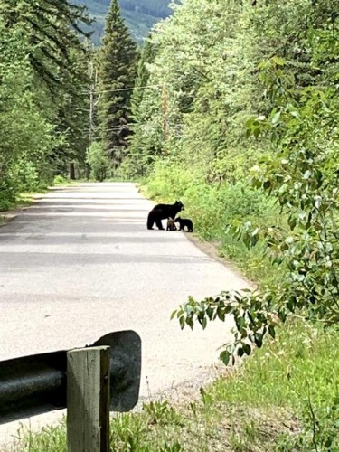 77 Grotto Road, Harvie Heights, AB - Outdoor