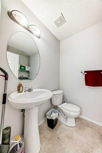 16 Saddlebrook Place Ne, Calgary, AB - Indoor Photo Showing Bathroom