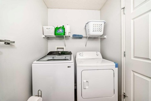 16 Saddlebrook Place Ne, Calgary, AB - Indoor Photo Showing Laundry Room