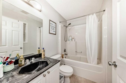 16 Saddlebrook Place Ne, Calgary, AB - Indoor Photo Showing Bathroom