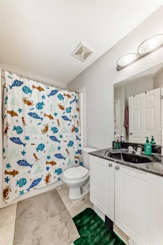 16 Saddlebrook Place Ne, Calgary, AB - Indoor Photo Showing Bathroom