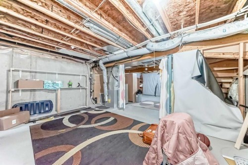 16 Saddlebrook Place Ne, Calgary, AB - Indoor Photo Showing Basement