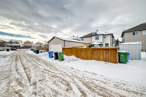 16 Saddlebrook Place Ne, Calgary, AB - Outdoor