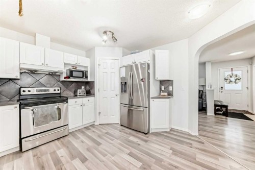 16 Saddlebrook Place Ne, Calgary, AB - Indoor Photo Showing Kitchen With Stainless Steel Kitchen