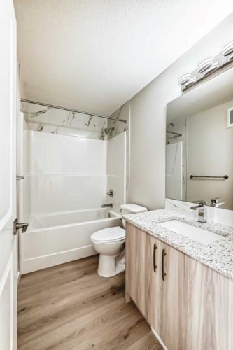 156 Belvedere Park Se, Calgary, AB - Indoor Photo Showing Bathroom