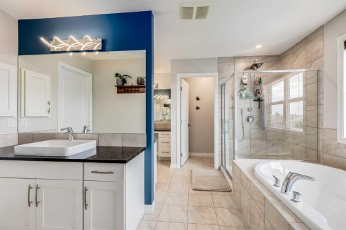 49 Auburn Springs Place Se, Calgary, AB - Indoor Photo Showing Bathroom