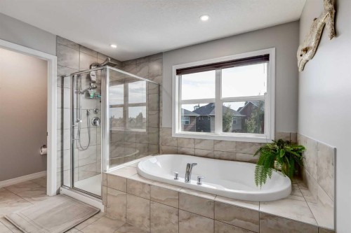 49 Auburn Springs Place Se, Calgary, AB - Indoor Photo Showing Bathroom