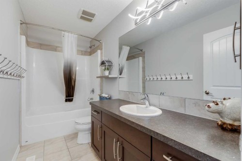 49 Auburn Springs Place Se, Calgary, AB - Indoor Photo Showing Bathroom