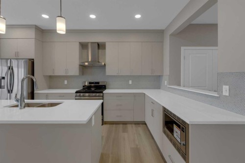64 Lewisburg Close Ne, Calgary, AB - Indoor Photo Showing Kitchen With Double Sink With Upgraded Kitchen