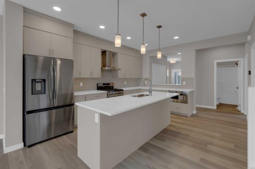 64 Lewisburg Close Ne, Calgary, AB - Indoor Photo Showing Kitchen With Double Sink With Upgraded Kitchen
