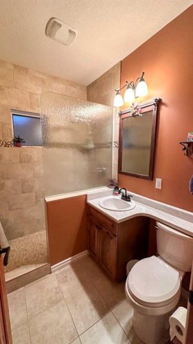 169-5227 Township Road 320, Rural Mountain View County, AB - Indoor Photo Showing Bathroom