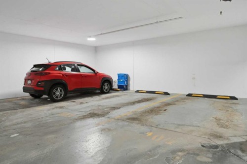 104-4275 Norford Avenue Nw, Calgary, AB - Indoor Photo Showing Garage