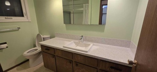 6320 Rundlehorn Drive Ne, Calgary, AB - Indoor Photo Showing Bathroom