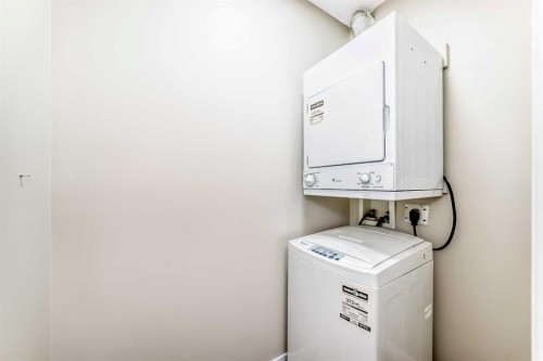 1114-333 Taravista Drive Ne, Calgary, AB - Indoor Photo Showing Laundry Room