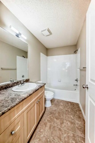 1114-333 Taravista Drive Ne, Calgary, AB - Indoor Photo Showing Bathroom