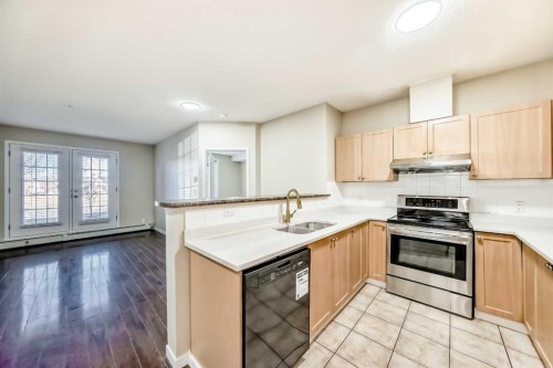 1114-333 Taravista Drive Ne, Calgary, AB - Indoor Photo Showing Kitchen With Double Sink