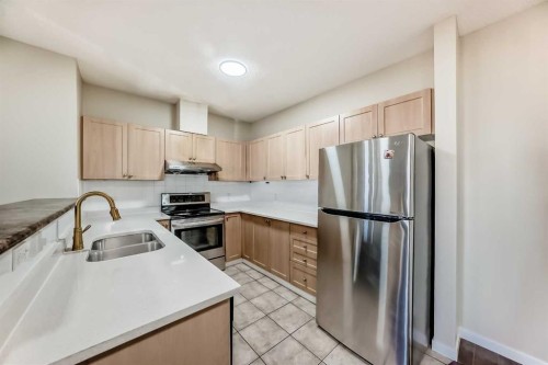 1114-333 Taravista Drive Ne, Calgary, AB - Indoor Photo Showing Kitchen With Double Sink
