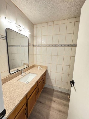 6879 Rundlehorn Drive Ne, Calgary, AB - Indoor Photo Showing Bathroom