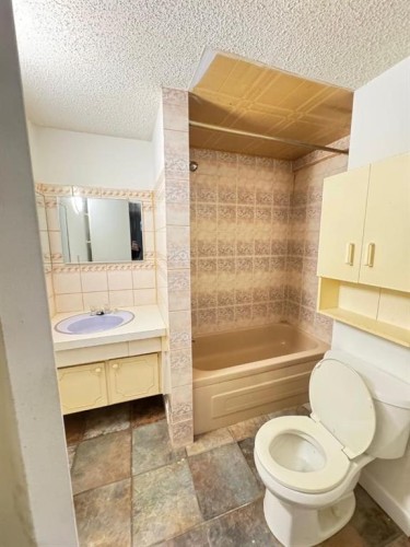 6879 Rundlehorn Drive Ne, Calgary, AB - Indoor Photo Showing Bathroom