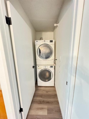 6879 Rundlehorn Drive Ne, Calgary, AB - Indoor Photo Showing Laundry Room