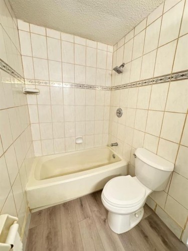 6879 Rundlehorn Drive Ne, Calgary, AB - Indoor Photo Showing Bathroom