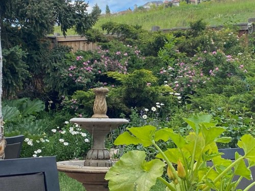 980 Edgemont Road Nw, Calgary, AB - Outdoor