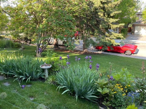 980 Edgemont Road Nw, Calgary, AB - Outdoor