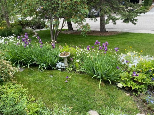 980 Edgemont Road Nw, Calgary, AB - Outdoor