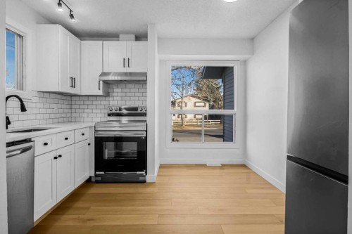 6632 Temple Drive Ne, Calgary, AB - Indoor Photo Showing Kitchen With Upgraded Kitchen