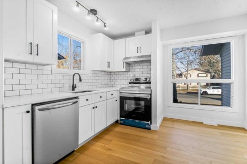 6632 Temple Drive Ne, Calgary, AB - Indoor Photo Showing Kitchen With Double Sink With Upgraded Kitchen