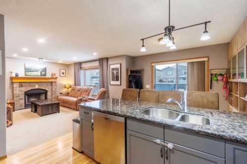 123 Riverwood Circle Se, Calgary, AB - Indoor Photo Showing Other Room With Fireplace