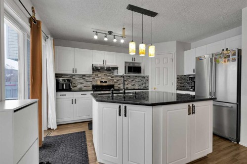 298 Taravista Street Ne, Calgary, AB - Indoor Photo Showing Kitchen With Upgraded Kitchen