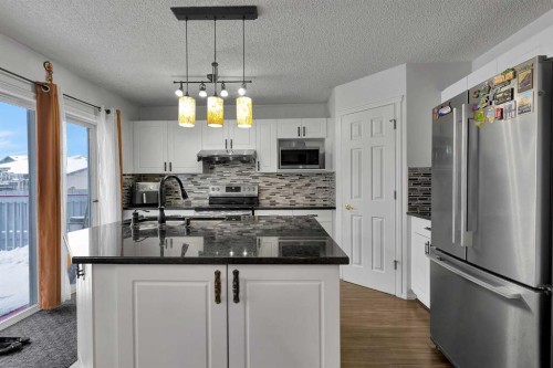 298 Taravista Street Ne, Calgary, AB - Indoor Photo Showing Kitchen With Upgraded Kitchen