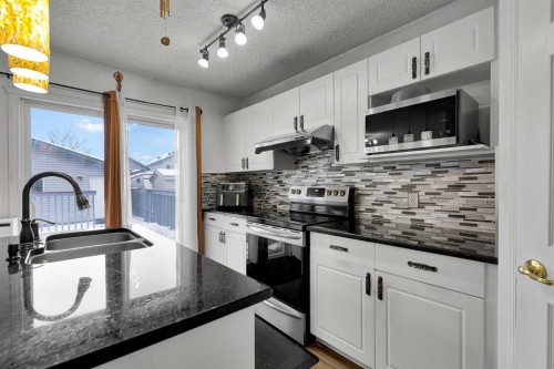 298 Taravista Street Ne, Calgary, AB - Indoor Photo Showing Kitchen With Double Sink With Upgraded Kitchen