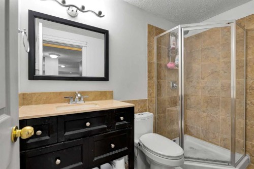 298 Taravista Street Ne, Calgary, AB - Indoor Photo Showing Bathroom