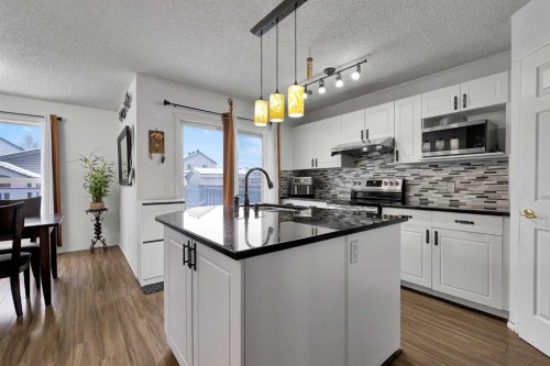 298 Taravista Street Ne, Calgary, AB - Indoor Photo Showing Kitchen With Upgraded Kitchen