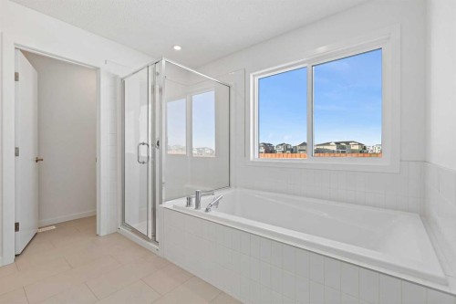 421 Corner Glen Way Ne, Calgary, AB - Indoor Photo Showing Bathroom