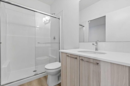 421 Corner Glen Way Ne, Calgary, AB - Indoor Photo Showing Bathroom