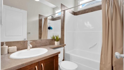 58 Skyview Ranch Gardens Ne, Calgary, AB - Indoor Photo Showing Bathroom