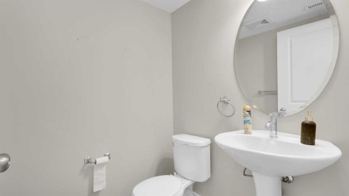 58 Skyview Ranch Gardens Ne, Calgary, AB - Indoor Photo Showing Bathroom
