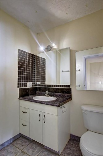 9-1111 Canterbury Drive Sw, Calgary, AB - Indoor Photo Showing Bathroom