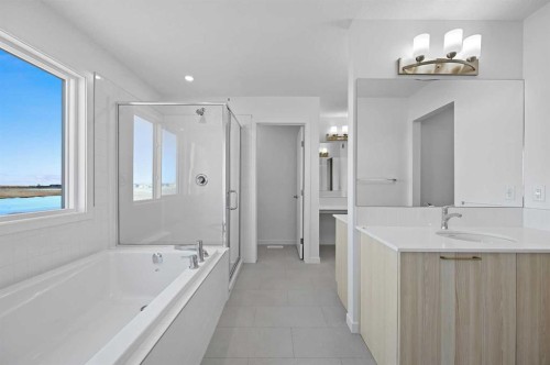 215 Corner Glen Crescent Ne, Calgary, AB - Indoor Photo Showing Bathroom