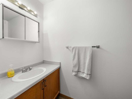 10 Martinbrook Road Ne, Calgary, AB - Indoor Photo Showing Bathroom