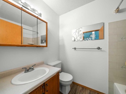 10 Martinbrook Road Ne, Calgary, AB - Indoor Photo Showing Bathroom